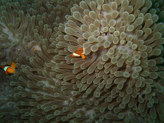 Similar image 720172