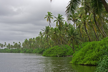 Similar image 720182