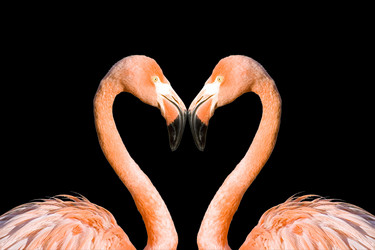 Similar image 720188