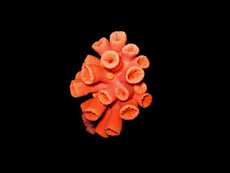 Similar image 720190