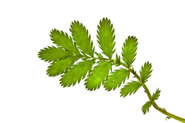 Similar image 720195