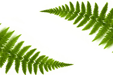 Similar image 720207