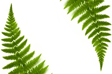 Similar image 720208