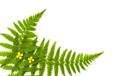 Similar image 720209