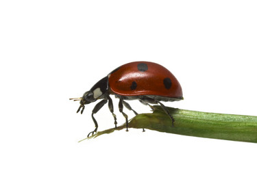 Similar image 720210