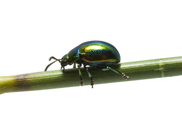 Similar image 720214