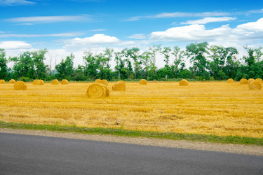 Similar image 720217