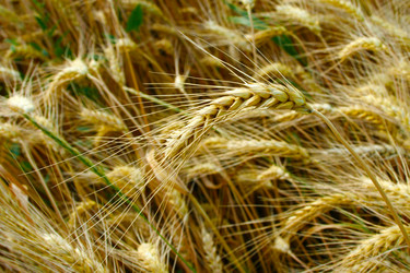 Similar image 720220