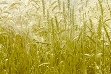 Similar image 720221