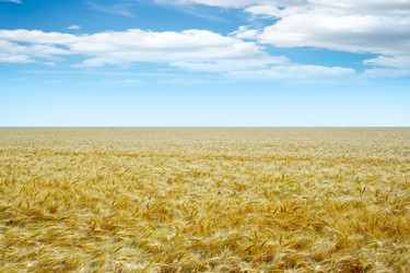 Similar image 720223