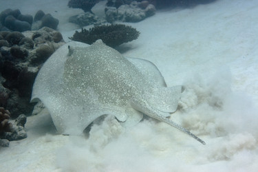 Similar image 720227