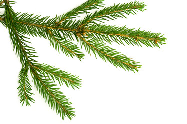 Similar image 720232