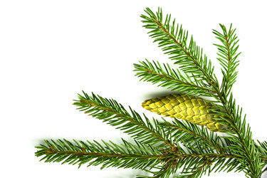 Similar image 720233