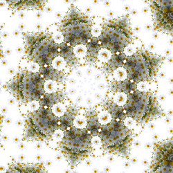 Similar image 720327