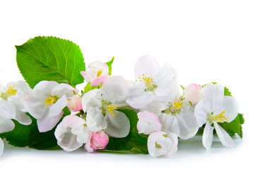 Similar image 720328