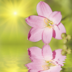 Similar image 720337