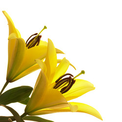 Similar image 720344