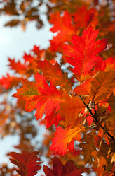 Similar image 720354