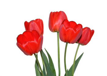 Similar image 720359