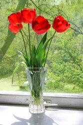 Similar image 720360