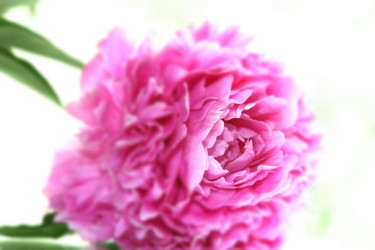 Similar image 720361