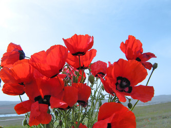 Similar image 720378