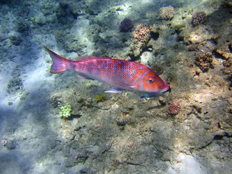 Similar image 720426