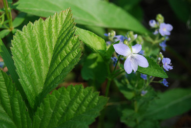 Similar image 720434