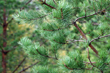 Similar image 720436