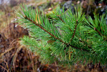 Similar image 720455