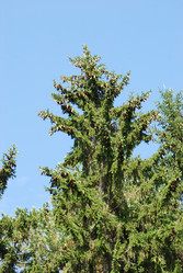 Similar image 720457