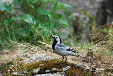 Similar image 720468