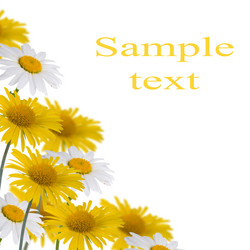 Similar image 720469