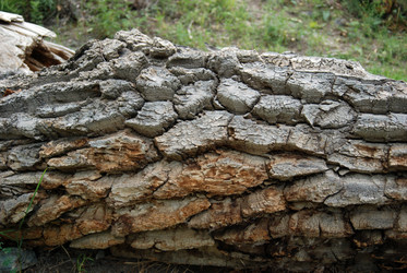 Similar image 720473