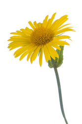 Similar image 720485