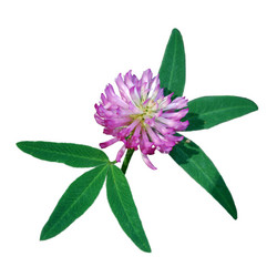 Similar image 720487