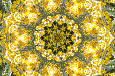 Similar image 720495