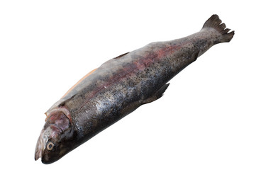 Similar image 720517