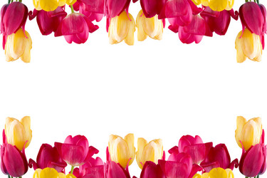 Similar image 720522