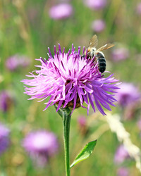 Similar image 720531