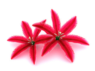 Similar image 720533