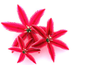 Similar image 720535