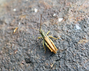 Similar image 720545