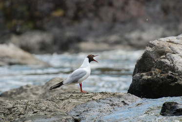 Similar image 720566