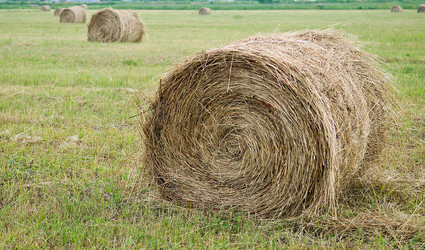 Similar image 720567