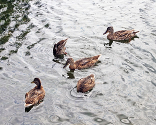 Similar image 720568