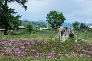 Similar image 720569