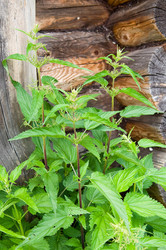 Similar image 720574