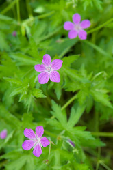 Similar image 720577