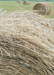 Similar image 720578